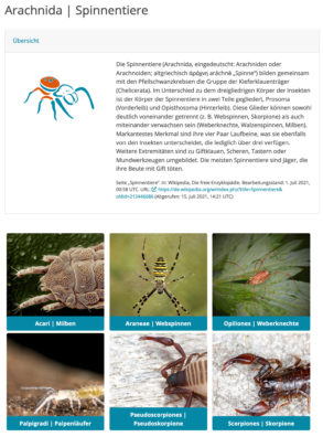 Bildschirmfoto von der DigiTiB Website der Universität Greifswald zum Thema Klassifizierung von Tiergruppen