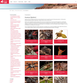 Murdoch University Screenshot Website Fauna Portal